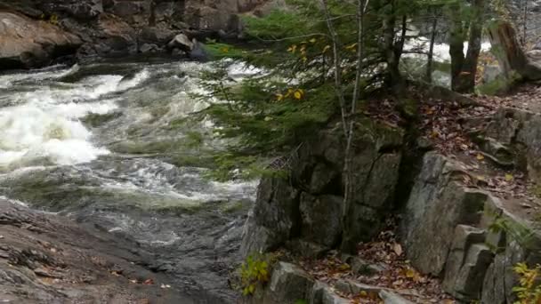 Non Siamo Niente Confronto Alla Natura Pensiero Che Viene Mente — Video Stock