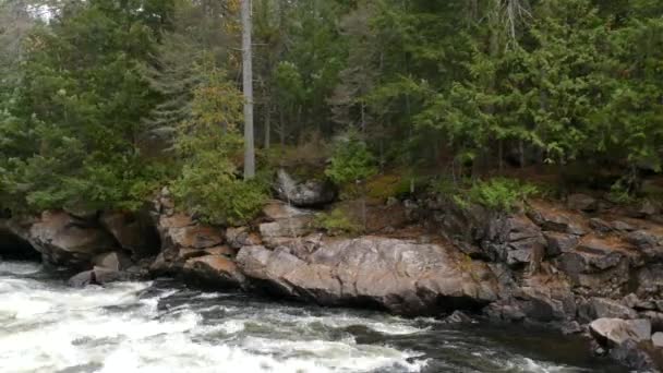 Planeta Tierra Visto Cerca Bosque Salvaje Paisaje Fluvial Canadá — Vídeo de stock
