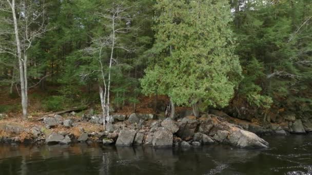 Verdes Con Este Río Tranquilo Pero Poderoso Casi Demasiado Bonito — Vídeo de stock