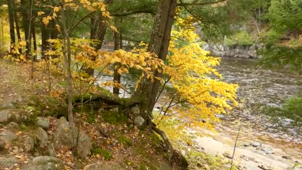 Jolie Formation Géologique Transformant Paysages Colorés Automne — Video