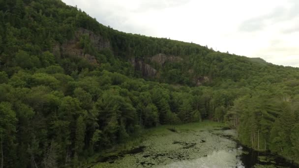 Dramatische Kliffen Een Meer Noord Amerika Boreale Gemengde Bos Zomer — Stockvideo