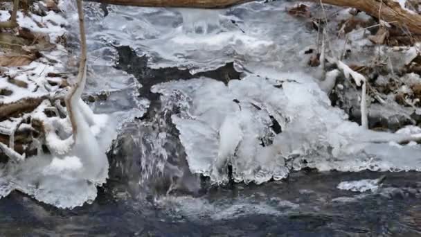 Acqua Dalla Fusione Neve Ghiaccio Primavera Scorre Torrente Nel Fiume — Video Stock