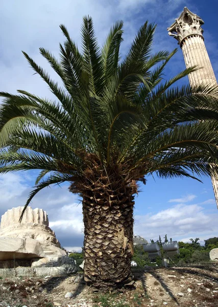 Atina Daki Zeus Tapınağı Ndaki Zeus Tapınağı Geece — Stok fotoğraf