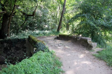 Ormanda asfaltsız bir yolda bir hendek üzerinde eski arnavut kaldırımlı köprü 
