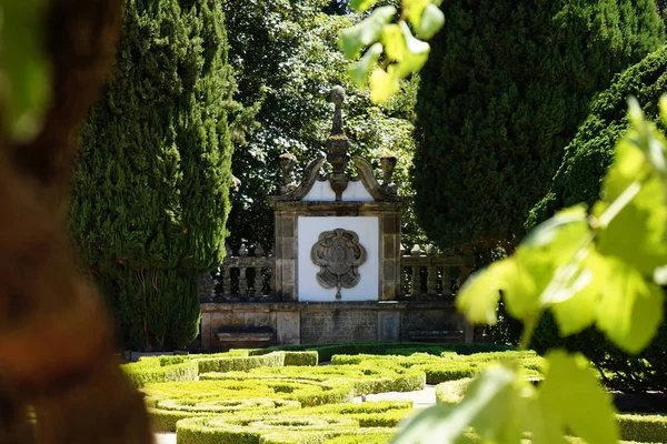 Τσαμπιά Από Πράσινα Σταφύλια Στον Κήπο Του Κάστρου — Φωτογραφία Αρχείου