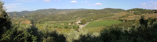 Ländliche Landschaft Der Toskana Mit Landwirtschaftlichen Feldern Und Weinbergen — Stockfoto