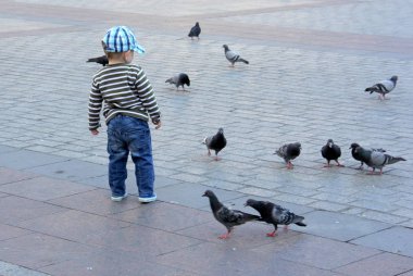 Krakow / Polonya - 25 Haziran 2012: Korsan meydanında güvercinlerle oynayan bir çocuk