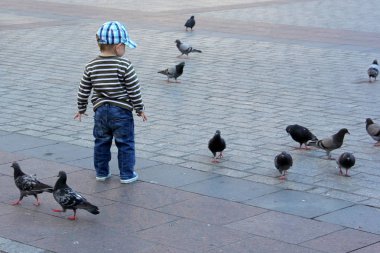 Krakow / Polonya - 25 Haziran 2012: Korsan meydanında güvercinlerle oynayan bir çocuk