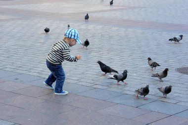 Krakow / Polonya - 25 Haziran 2012: Korsan meydanında güvercinlerle oynayan bir çocuk