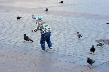 Krakow / Polonya - 25 Haziran 2012: Korsan meydanında güvercinlerle oynayan bir çocuk
