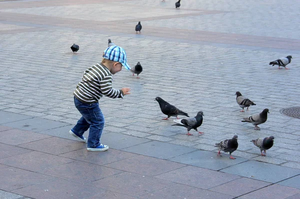 Krakow / Polonya - 25 Haziran 2012: Korsan meydanında güvercinlerle oynayan bir çocuk