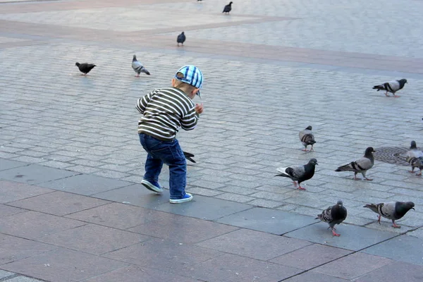 Krakow Poland June 2012 Boy Playing Pigeons Cobbled Square — Stock Photo, Image