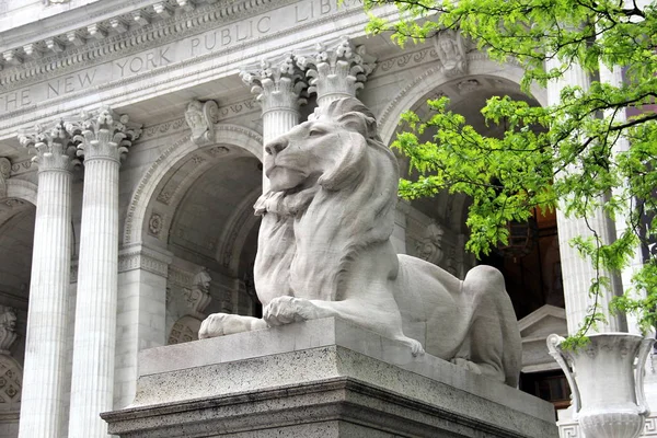 New York Halk Kütüphanesi 'nin merdivenlerinde aslan heykeli - Stephen A. Schwarzman Binası 5. Cadde, New York, Ny