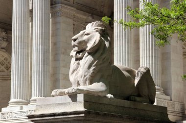 New York Halk Kütüphanesi 'nin merdivenlerinde aslan heykeli - Stephen A. Schwarzman Binası 5. Cadde, New York, Ny