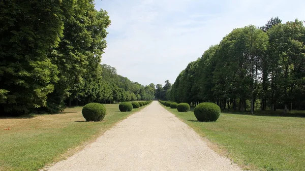 Principal Propriedade Forrada Com Arbustos Bem Cuidados Chateau Beauregard Loire — Fotografia de Stock