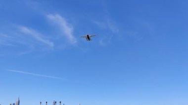 Alçaktan uçan deniz uçağı; Doğu Nehri, Doğu Yakası ve Manhattan şehir merkezi silueti üzerinde motorlu tekne gezisi, New York, New York, New York, ABD - 20 Ağustos 2020