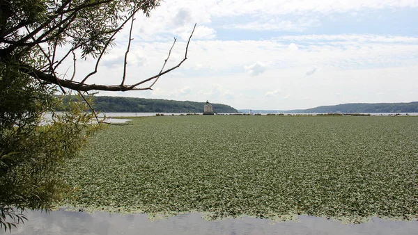 Campo Lirios Agua Frente Faro Rondout Lado Oeste Del Río —  Fotos de Stock