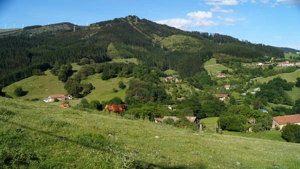 Krajina Zálivovým Koněm Pasoucím Zeleném Úbočí Mezi Vesnicemi Baskicku Španělsko — Stock fotografie