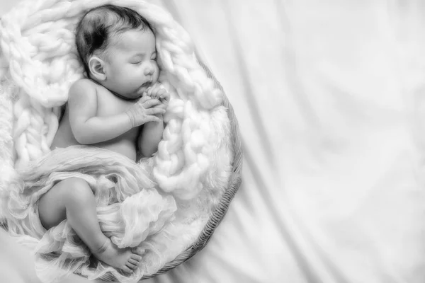 Baske uyuyan bebek erkek bebek siyah ve beyaz portre — Stok fotoğraf