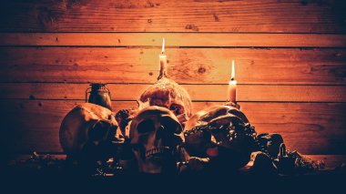 İnsan kafatasları ve çene kemiği görsel sanat natürmort görüntü