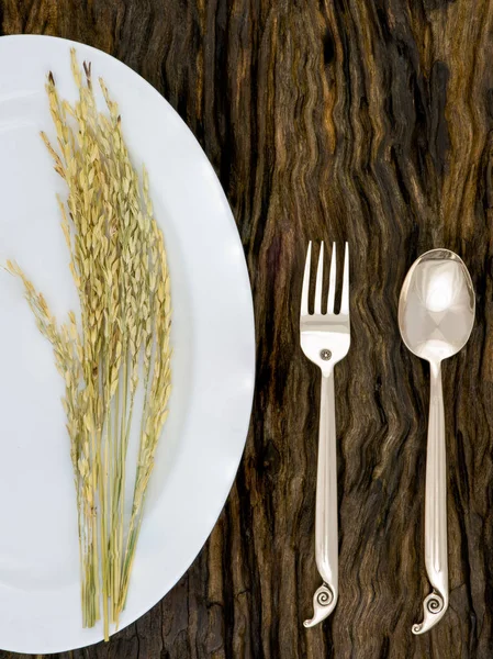 Una serie di posate di bronzo, cucchiai, forchette con orecchio di riso su bianco — Foto Stock