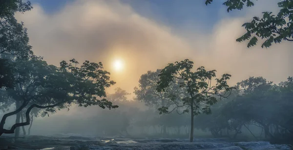 ทิวทัศน์ของป่าหมอกในตอนเช้า — ภาพถ่ายสต็อก