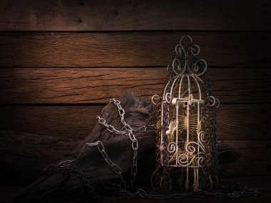 Metal zincirli beyaz kafesteki iskeletin natürmort sanatı görüntüsü 