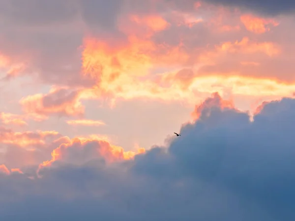 El sol detrás de la nube en la mañana del amanecer con el oro —  Fotos de Stock