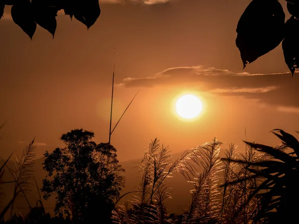 Silueta paisaje de la salida del sol puesta del sol con primer plano de f suave —  Fotos de Stock