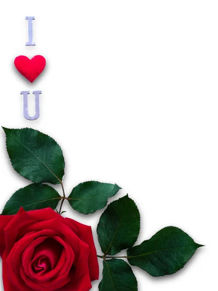 Rosa vermelha com palavras Eu te amo para o dia dos namorados isolado em — Fotografia de Stock