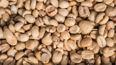 Kurutulmuş çiğ yeşil kahve çekirdeği