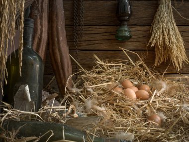 Eski barda yuvada tavuk yumurtası Natürmort görsel sanat
