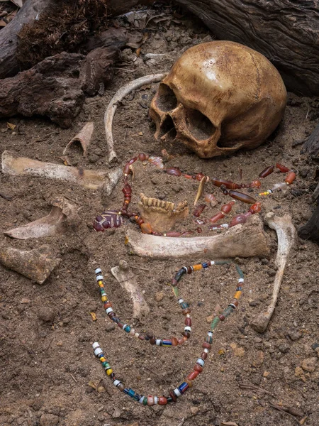 Jeszcze życie wykopaliska archeologiczne z czaszką, kości i — Zdjęcie stockowe