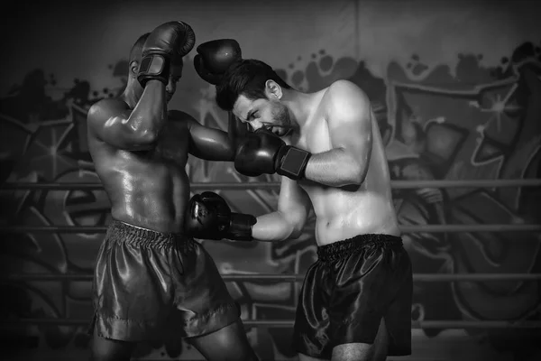 Boxeador Caucasiano Fazendo Gancho Para Boxeador Afro Americano Que Perde — Fotografia de Stock