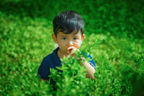 Retrato Bonito Asiático Menino Criança — Fotografia de Stock