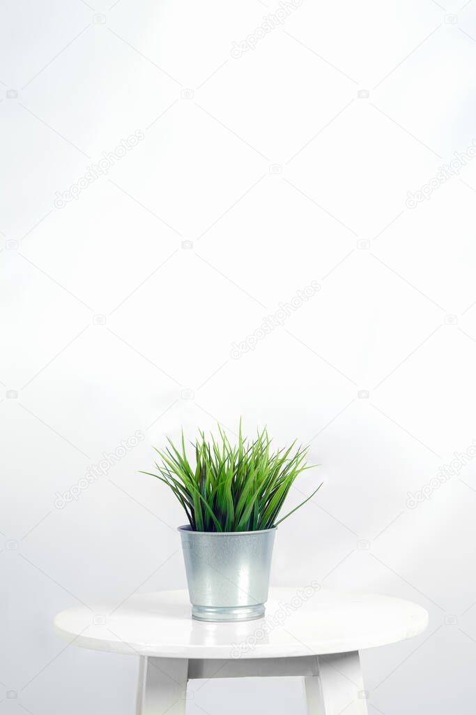 artificial grass in pot on white table on white background