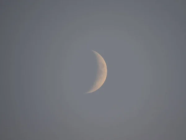 young moon in the sky