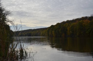 Sonbaharda büyük bir ormanın yakınında bir nehir.