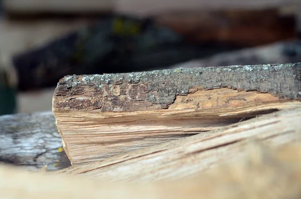 Kış Için Odun Hazırlıyorum Yakacak Odun Yığını — Stok fotoğraf
