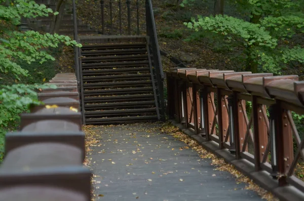 Photo de pont en bois dans le parc — Photo