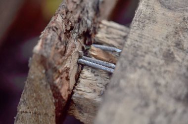 Tahtada üç çivi var.