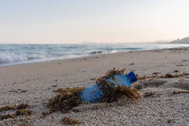 Sahilde yosun kaplı mavi plastik şişe, Akdeniz manzara arka plan ile