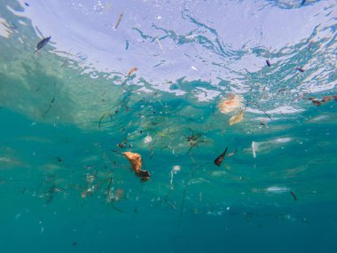 Akdeniz'in su altından görülen plastik ve diğer enkaz ile kirlenmiş