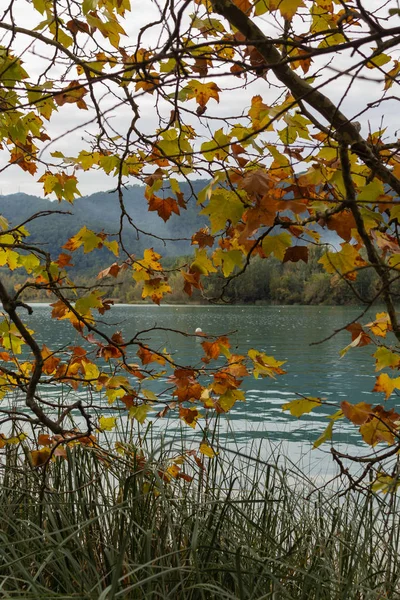 Paisagem Lacustre Banyoles Outono Catalunha Espanha — Fotografia de Stock