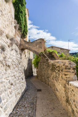 Surlar ve asılı bitkilerle taş köprü arasında bir sokak.