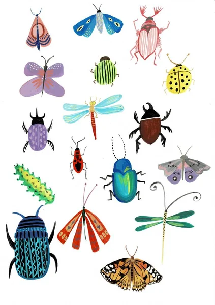 Zestaw owadów akwarela ilustracja na białym tle dla projektu — Zdjęcie stockowe
