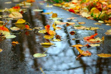 Kaldırımdaki yansımalar su gibi.