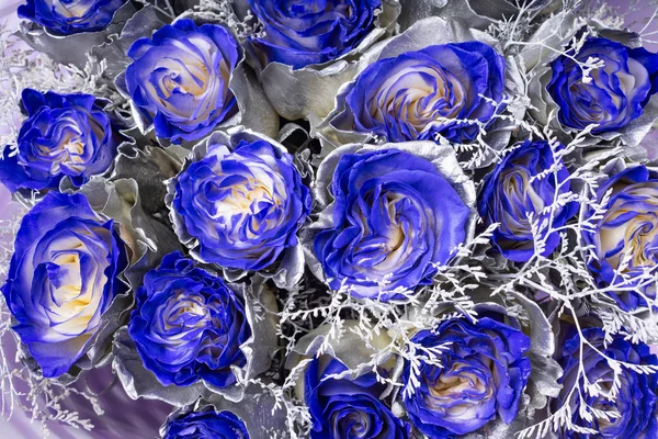 Wallpaper background of blue roses, silver coloring on the petals