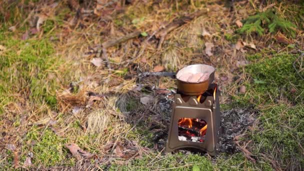 Cooking Sausages Twig Stove Outdoors — Stock Video