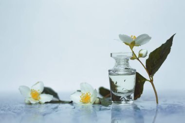 Parfüm ve Yasemin çiçek şişe